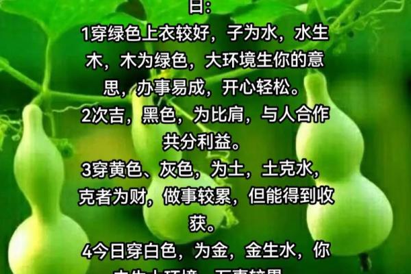 琳字五行属性解析及其意义探讨