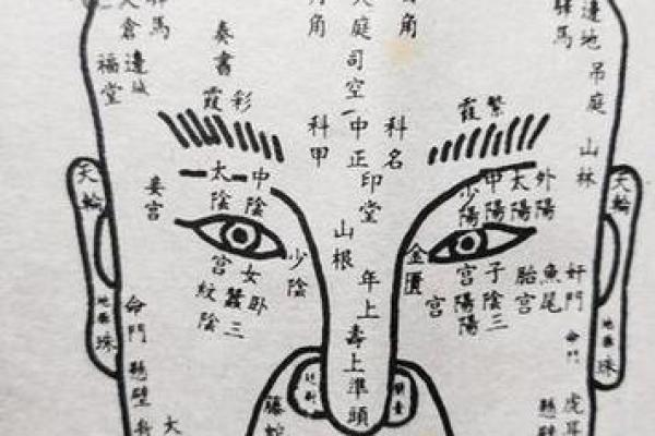 揭秘面相学：从五官看你的命运走势