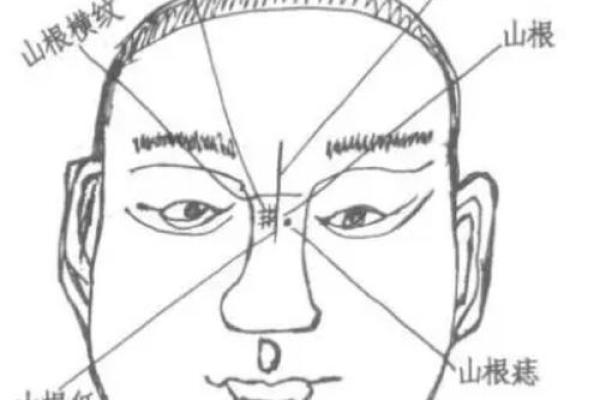 面相解读命运：五官背后的命运密码