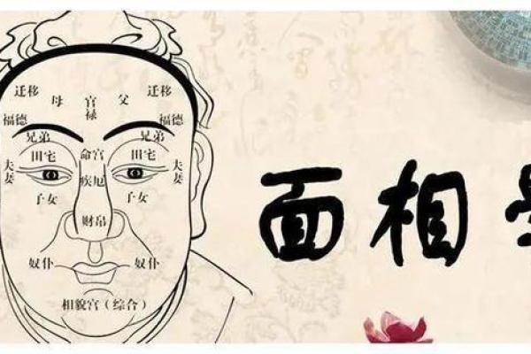 面相解读命运：五官背后的命运密码