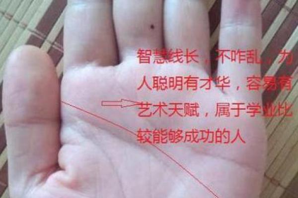 了解你的手相，在线免费算命为你指引人生方向