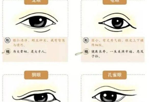 眼睛面相解析：影响运势与情感的关键部位