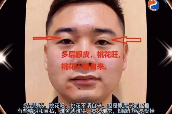 眼睛面相解析：影响运势与情感的关键部位