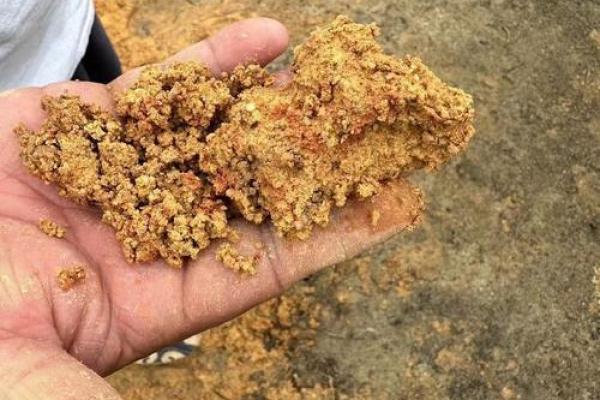 风水寻龙的奥秘与实践技巧