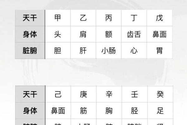 明五行属性解析及其对命理的影响