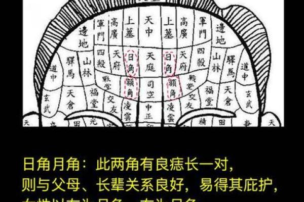 今日天干地支查询：如何快速了解今日运势与吉凶