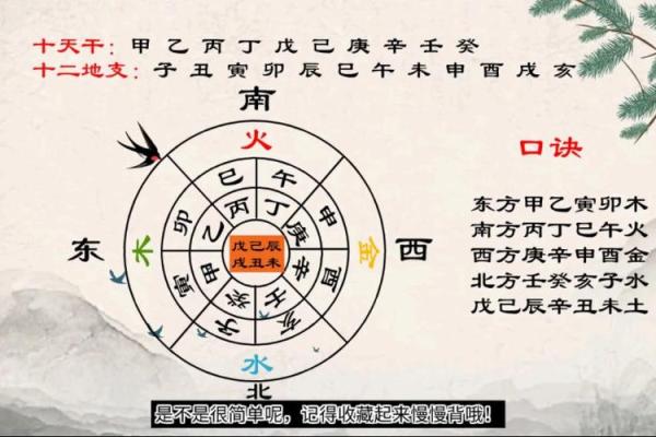 今日天干地支揭秘，带你看懂命理
