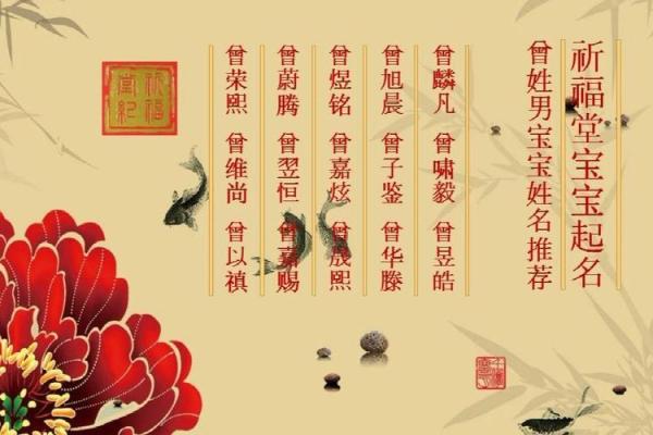 曾姓男孩取名技巧与推荐，如何挑选寓意深远的名字