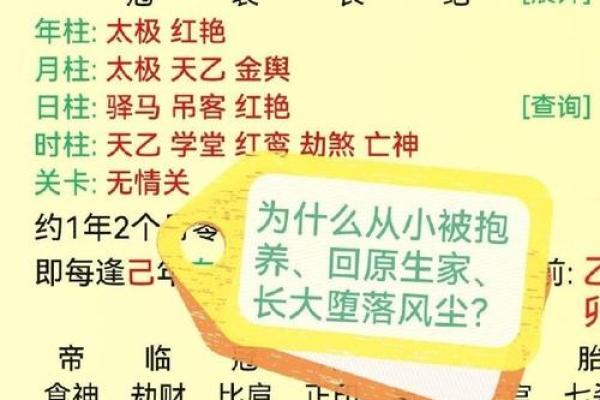 免费八字命盘分析，揭示你的天命与人生潜力