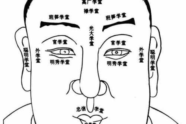 麻衣神相解析：揭示女人面部痣相的命运玄机