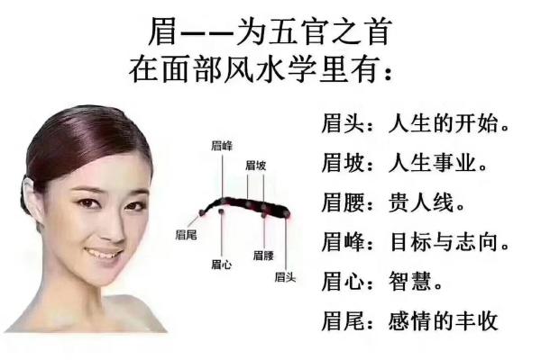 男生眉毛形态解析与面相运势的关系
