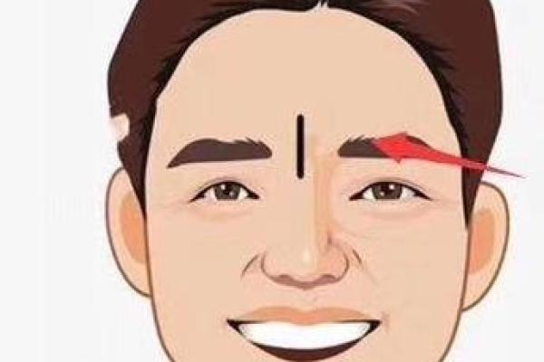 男生眉毛形态解析与面相运势的关系