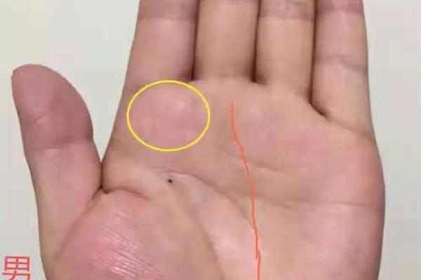 男人手相解读：九种手相暗示的未来走向