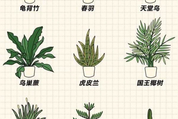春羽家居风水设计：提升居住运势的关键要素