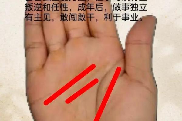 手相分析揭秘：如何通过掌纹了解你的未来与性格特征