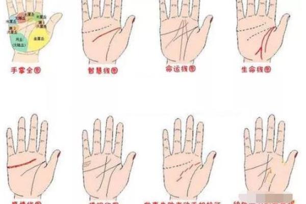 手相分析揭秘：如何通过掌纹了解你的未来与性格特征