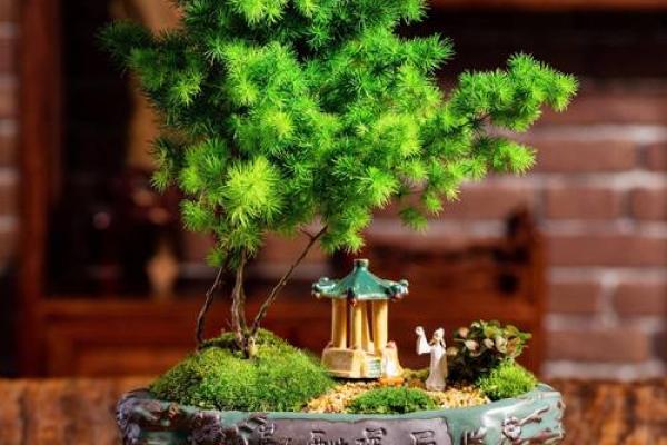 办公室风水植物选择指南 提升运势的绿植推荐
