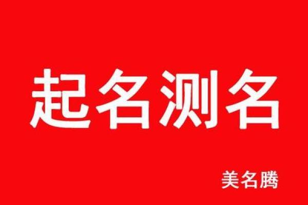 探索免费名字打分系统的高准确性
