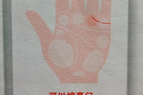 信与不信：看手相背后的科学与迷信