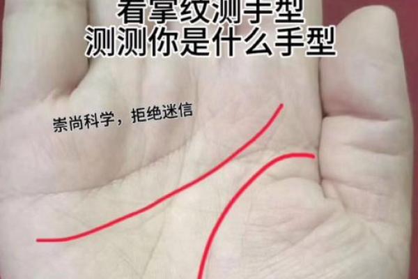 信与不信：看手相背后的科学与迷信