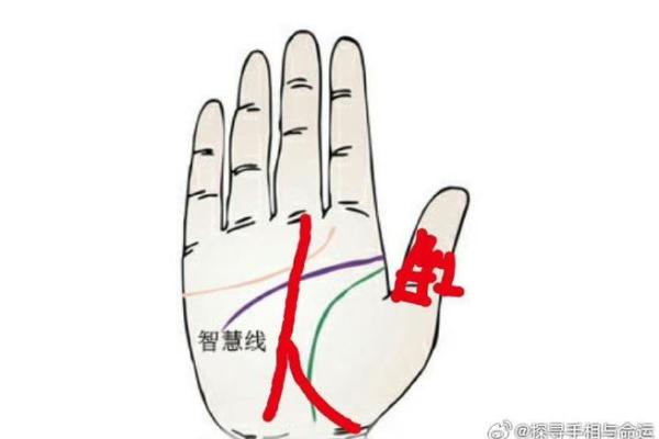 手相中的财富密码：富人手掌上的独特标志