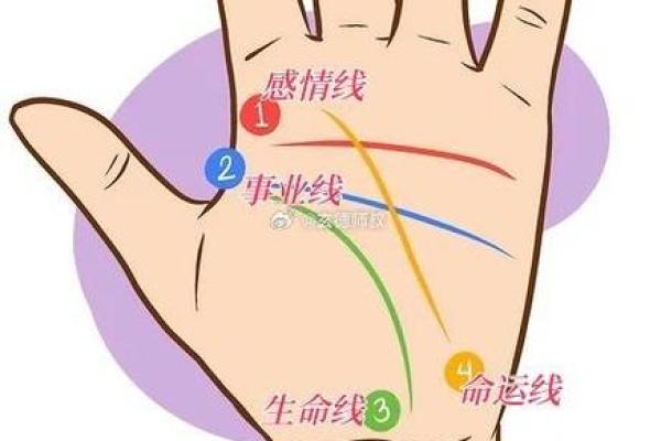 手相图解入门：掌纹分析教你读懂自己