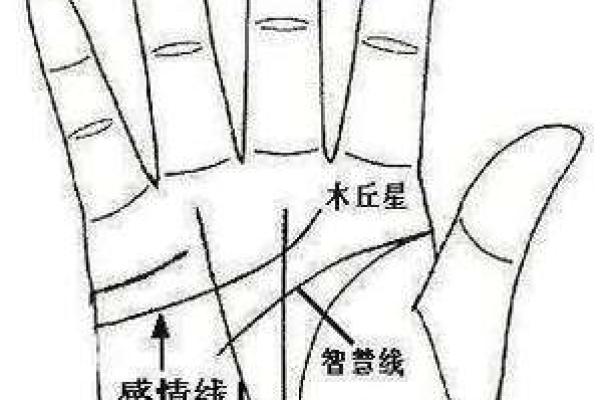 手相图解入门：掌纹分析教你读懂自己