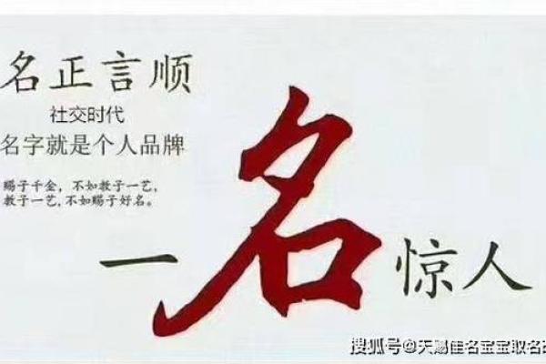 龙宝宝命名指南：从五行到生肖的全面解析
