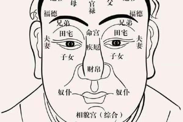 孩子身上的痣能透露什么？专家教你看懂痣相秘诀