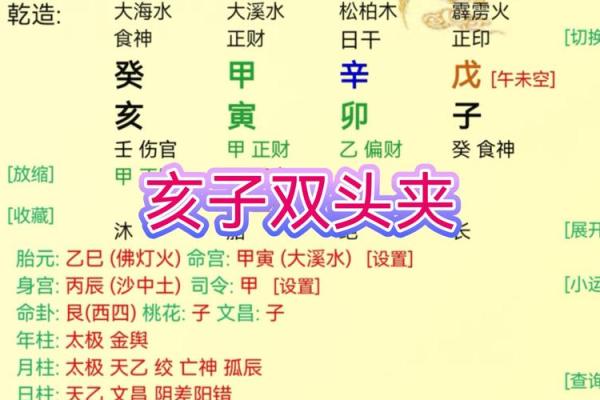 甲木女命理分析与性格特征解读