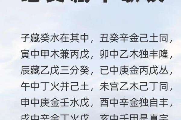 甲木女命理分析与性格特征解读