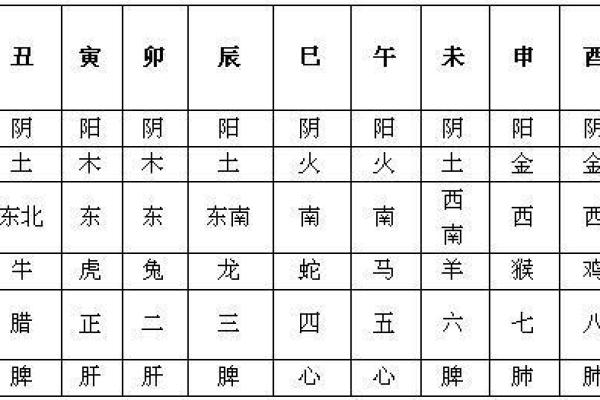 如何通过大运天干地支推测人生运势