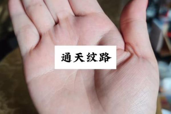 手相中的通天纹与仙缘的深刻联系解析