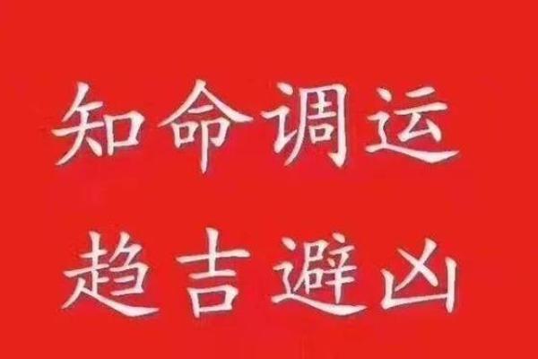 漫画八字命理：用轻松图解探索命运奥秘