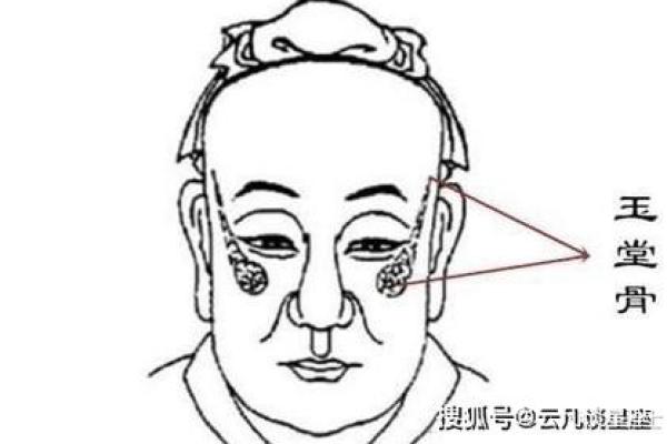 高颧骨面相解析：如何影响个人运势与性格特征