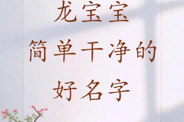 精心挑选宝宝名字的免费大全助你一臂之力