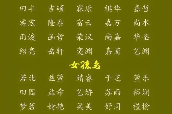 免费取名字大全：精选现代与古典名字灵感合集