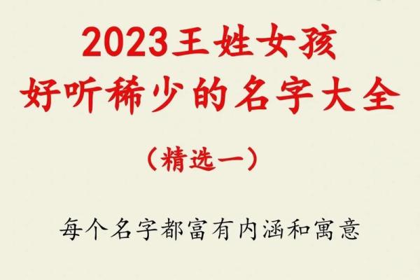 免费取名字大全：精选现代与古典名字灵感合集