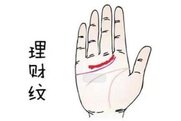 祖荫纹手相解析：揭秘祖先运势对你命运的深远影响