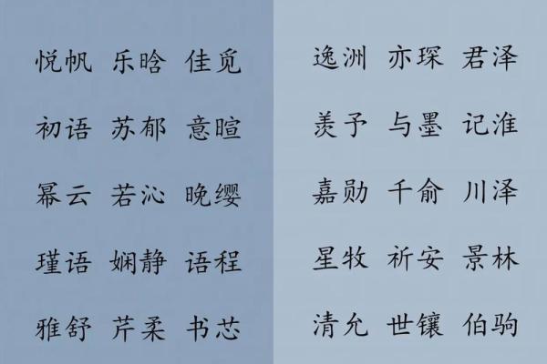 为龙宝宝取名字的五大原则：从字义到音韵全方位解析