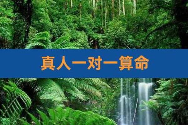 免费算命服务，一对一解答你的未来困惑