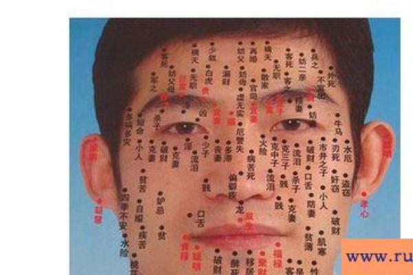 麻衣痣相深度剖析：解码命运与个性背后的痣印