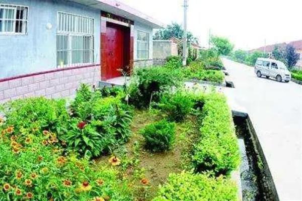 风水树在家居布置中的重要性与常见误区