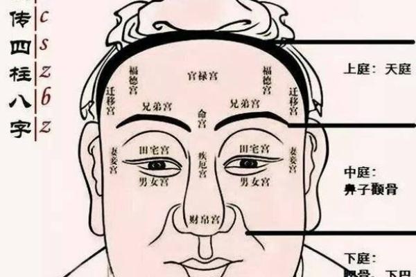 眼睛是心灵的窗户：女性面相中的眼睛秘密