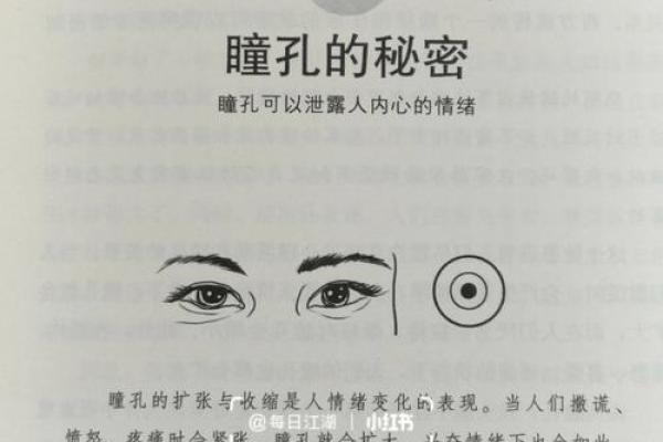 眼睛是心灵的窗户：女性面相中的眼睛秘密