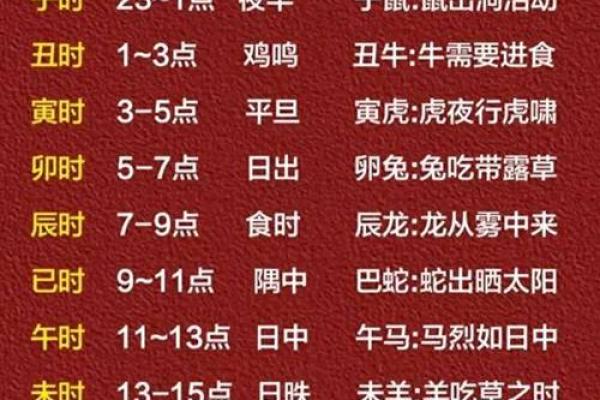 地支与时间的连接：传统十二时辰如何影响日常生活