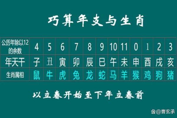 今年是甲辰年，天干地支与生肖的深刻联系解析