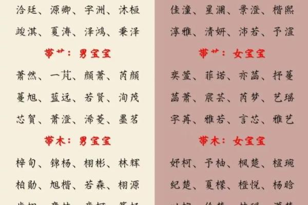 为男宝宝起个与众不同的名字