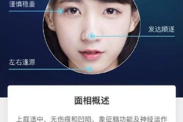 面相入门指南：掌握面部特征与命运的关系