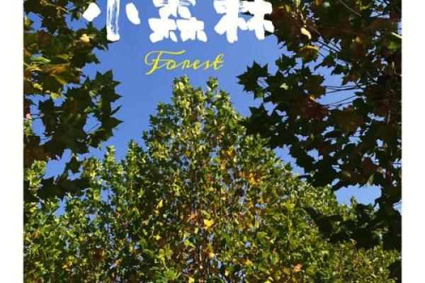 为家选择名字，给生活带来不一样的色彩